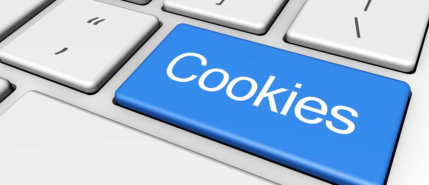 WEBSITE COOKIE POLICY FOR LOCKHART INN